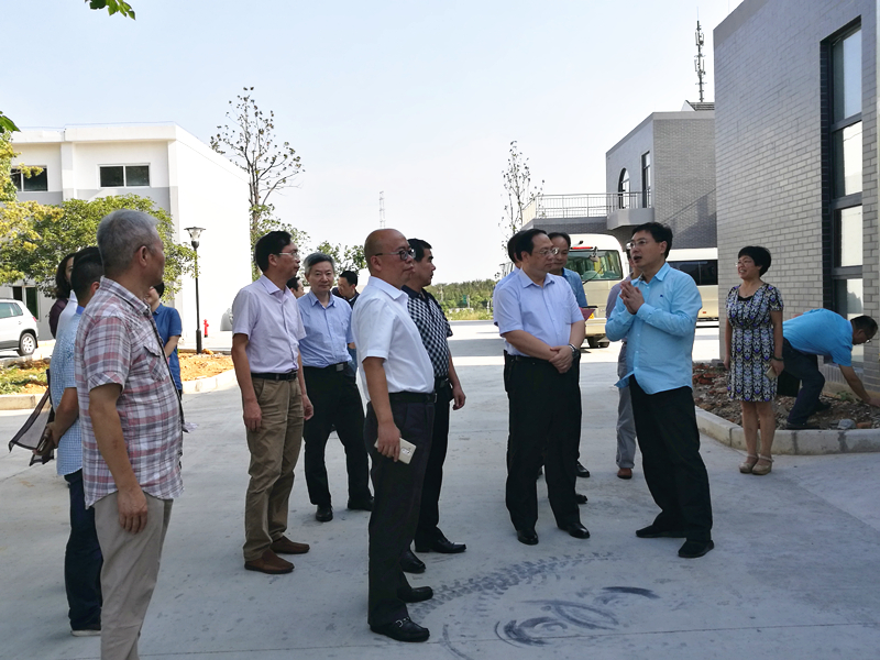 杭州市副市长王宏一行莅临开云app官方版入口 - 开云专业的云端应用服务平台特种茶中心调研余杭区茶产业茶博园项目