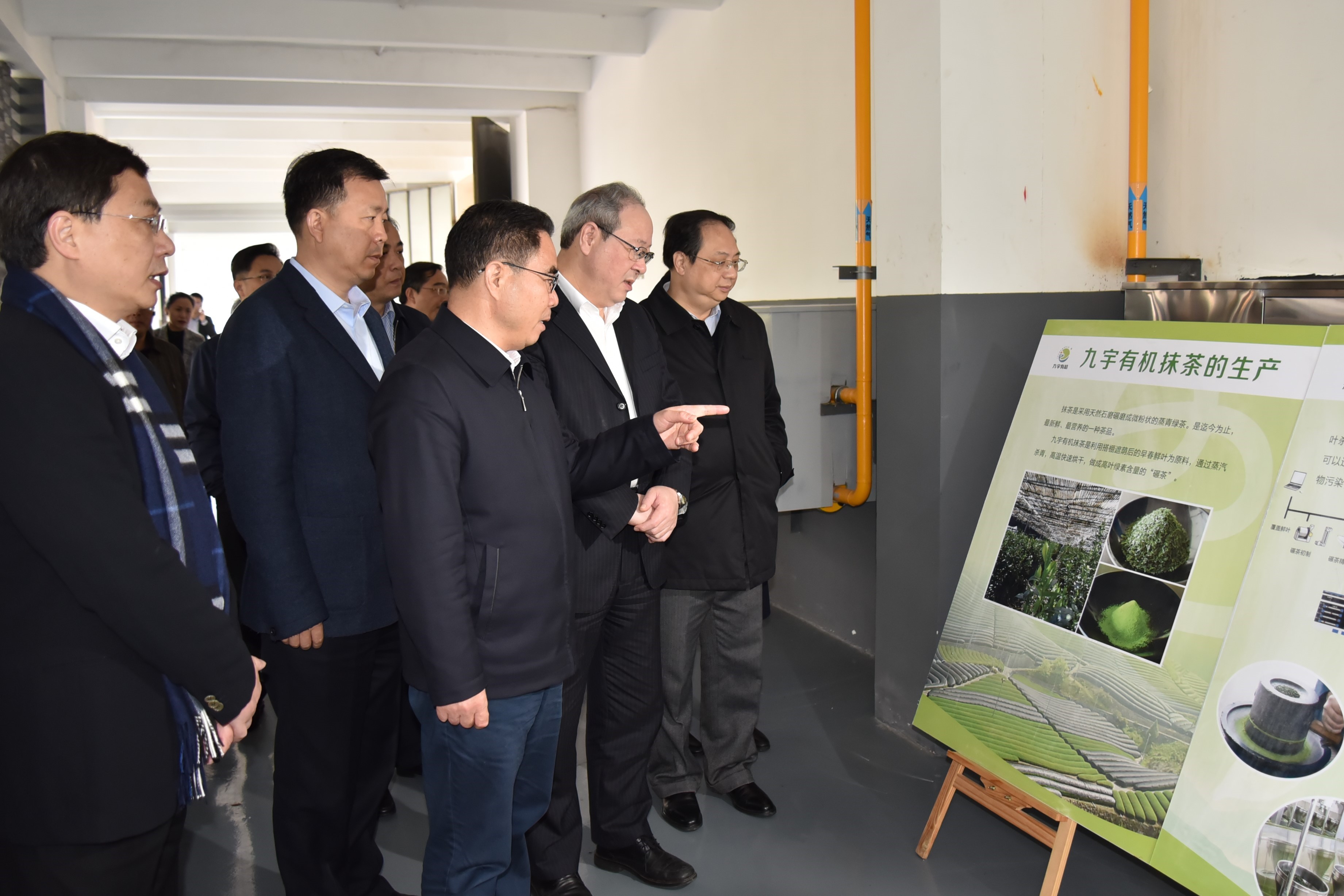广东省委叶贞琴一行莅临开云app官方版入口 - 开云专业的云端应用服务平台茶产业博览园考察