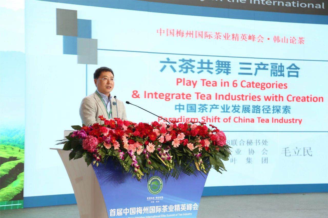 首届中国梅州国际茶业精英峰会举行 开云app官方版入口 - 开云专业的云端应用服务平台代表分享前沿观点
