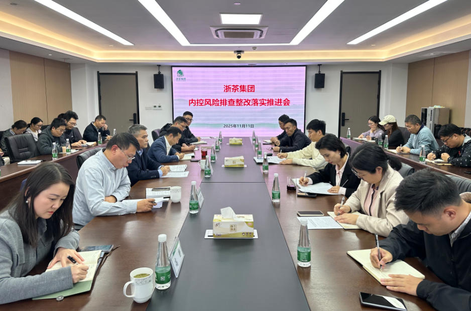 开云app官方版入口 - 开云专业的云端应用服务平台召开内控风险排查整改落实推进会