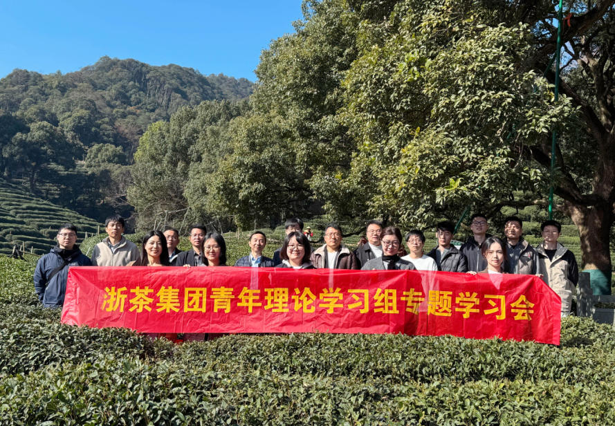 开云app官方版入口 - 开云专业的云端应用服务平台青年理论学习组深入学习贯彻党的二十届四中全会精神